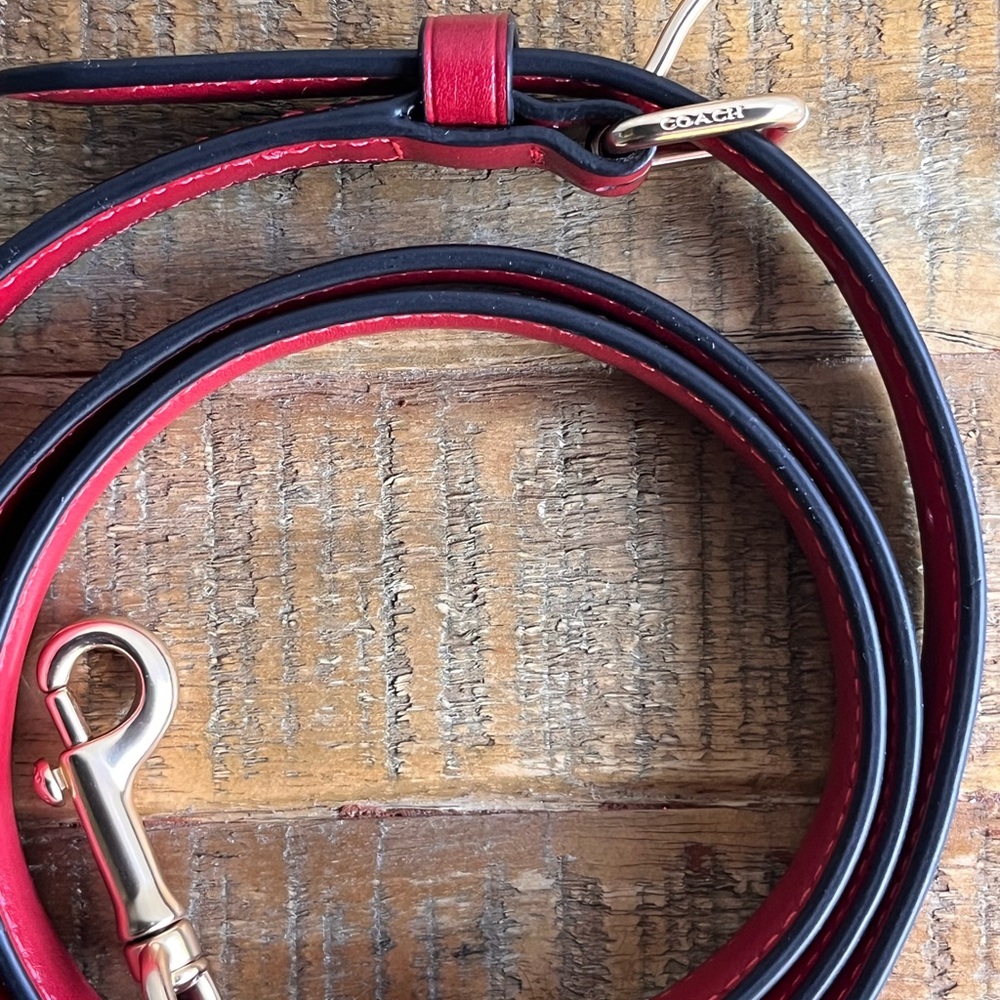 Coach Red Leather Crossbody Replacement Strap with Gold-Tone Hardware - Picture 8 of 11